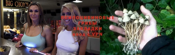 дживик Арсеньев