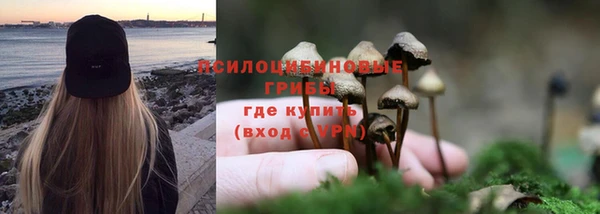 прущая мука Армянск