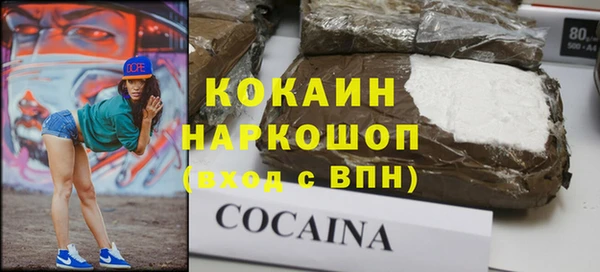 дживик Арсеньев