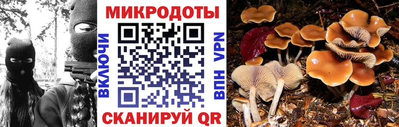 что такое наркотик  Зверево  Галлюциногенные грибы мицелий 